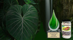 Our award winning Steak Rub with Aloha on a tropical background showing a forest and waterfall.